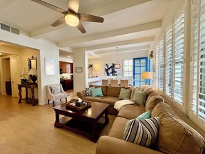 TV connectée, cheminée, lecteur de DVD, livres