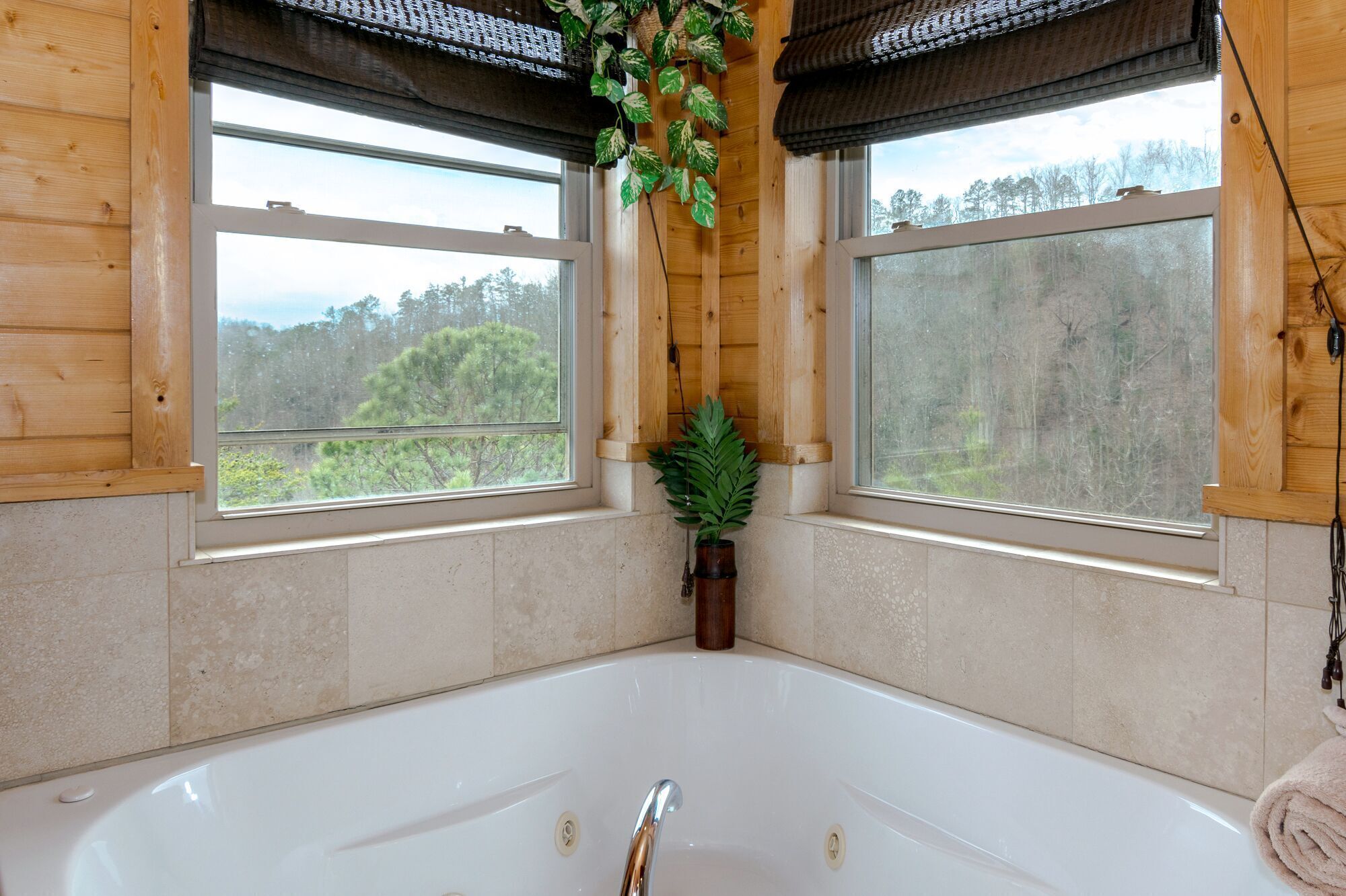 A bathroom with a large bathtub, two windows with views of a forest, and a potted plant.