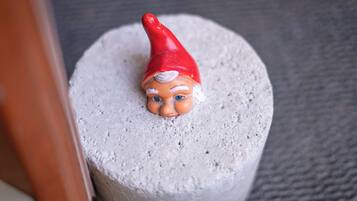 Objecte rodó i rugós amb un barret vermell a dalt.