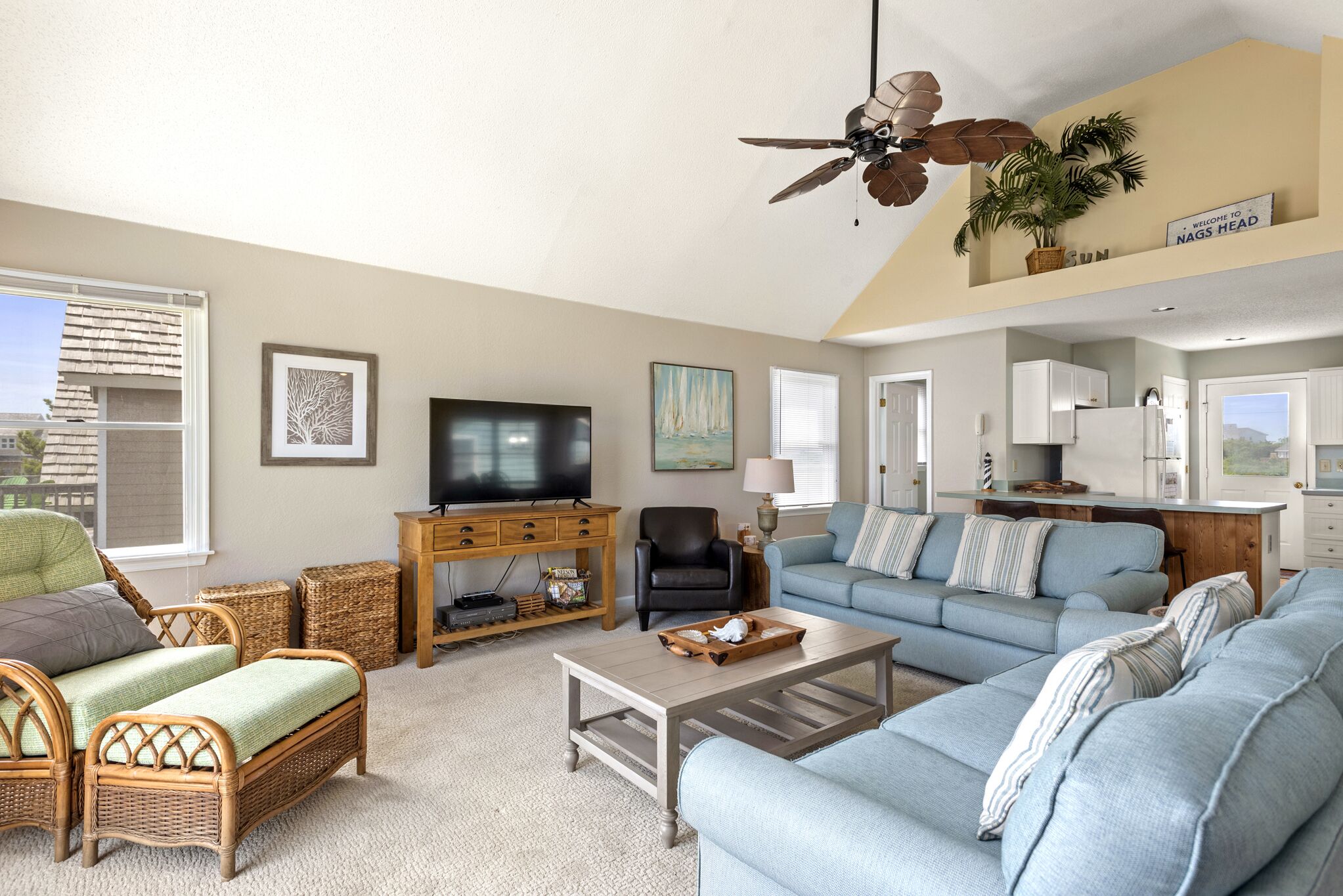 Dolphin Watch: Short Walk to the Beach