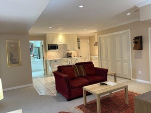 Smart TV, fireplace, books, music library