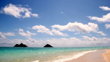 Beach nearby, sun loungers, beach towels