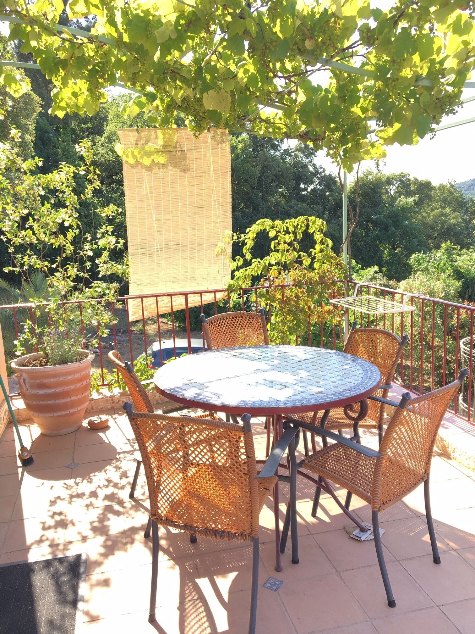 An outdoor patio with a round table and wicker chairs, surrounded by greenery and a bamboo screen.