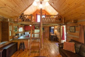 TV connectée, cheminée, lecteur de DVD, livres