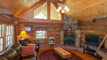 Smart TV, chimenea, reproductor de DVD y libros