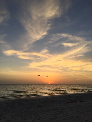 A beach scene with the sun setting over the ocean, two birds flying, and a clear sky. - Land's End #403 Building 1 - Oceanfront View (Treasure Island)