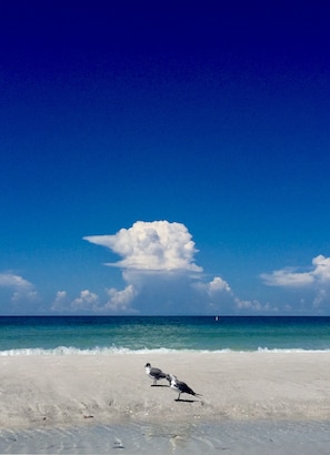 On the beach, sun loungers, beach towels