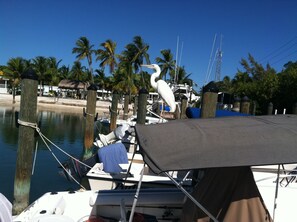 Marina - Fully furnished  studio, 50 yards from ocean, shared pool, fishing-jetty (Marathon)