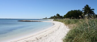 Fully furnished  studio, 50 yards from ocean, shared pool, fishing-jetty