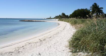 Fully furnished studio, 50 yards from ocean, shared pool, fishing-jetty