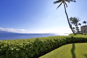 Property grounds - Island Sands 401 Oceanfront Condo with Ocean View. Enjoy the saltwater oceanfront swimming pool. (Wailuku)