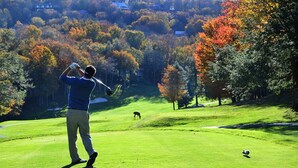 A golf course with a golfer in mid-swing, a dog on the course, and autumn-colored trees in the background. - Marvelous Panoramic Mountain Views All Year, Private,Club,Skiing Slopes nearby! (Beech Mountain)