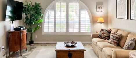 Smart TV, fireplace, Netflix, books