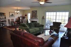 TV, fireplace, books