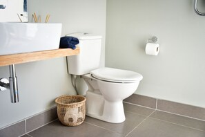 Chuveiro, secador de cabelo, papel higiênico