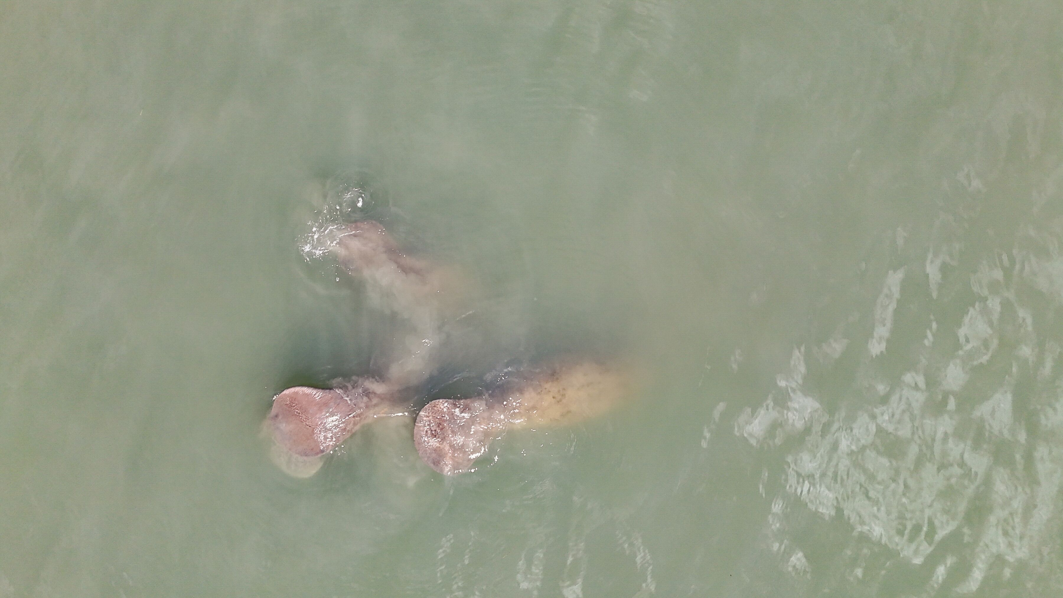 Massa de água com uma pessoa submersa até a cintura, usando colete salva-vidas.
