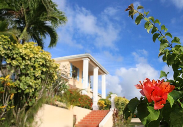 Stately building with a classical portico and lush green surroundings.