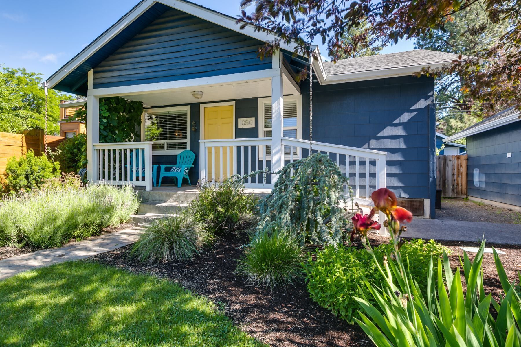 Bluebird Day - Sparks Cottage
