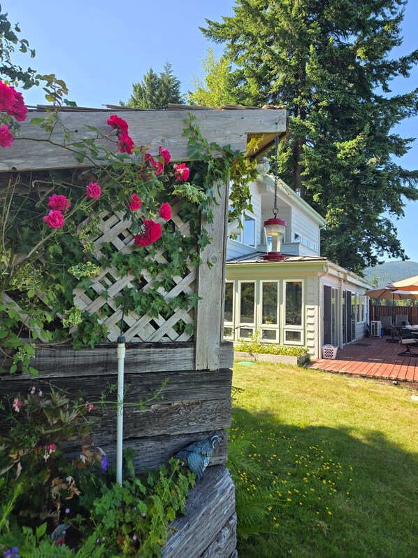 A wooden pergola with climbing roses and a lattice design, a covered patio area with outdoor furniture, and a house with large windows and a red roof. - Olympic Peninsula, from Coast to Forest, Scenic Hiking, Kayaking, Fishing, GEM. (Brinnon)