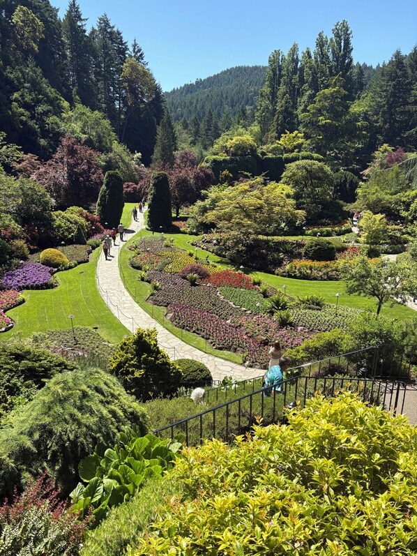 Un jardin bien entretenu, avec une grande variété de plantes et un sentier sinueux.