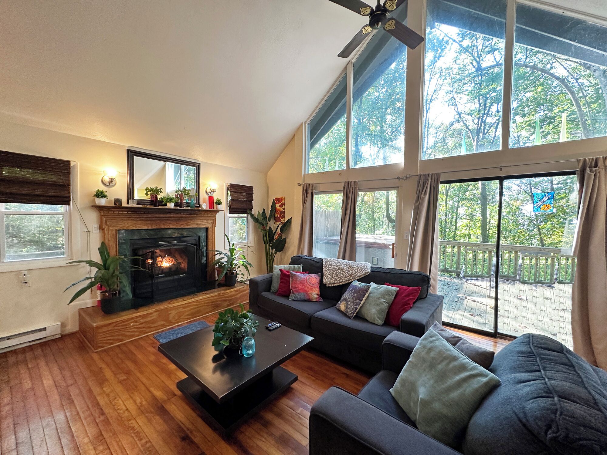 Una televisión, una chimenea