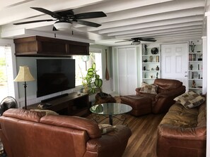 Televisión de pantalla plana, Netflix, libros y servicios de streaming 