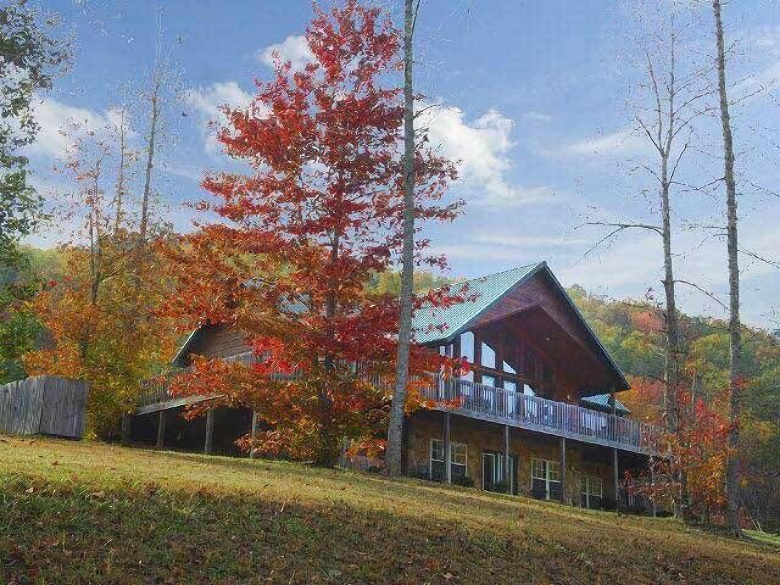 Bearadise cabin has  Mountain Views, beautiful cabin, great yard for kids,