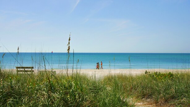 A beach with a bench and tall grass in the foreground. -  LOCATION! COMPLETE REHAB Great pool, close to north bean pt., twin family rooms (Anna Maria)