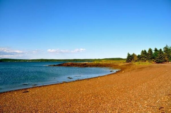 On the beach - Beach Cottage In DownEast Maine (Eastport)