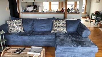 Smart TV, fireplace, DVD player, books