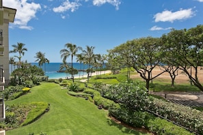 Guests can enjoy a serene beachside setting with access to the ocean and lush tropical surroundings.