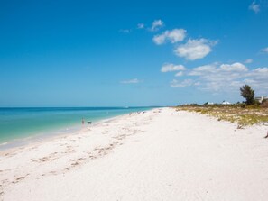 Plage à proximité