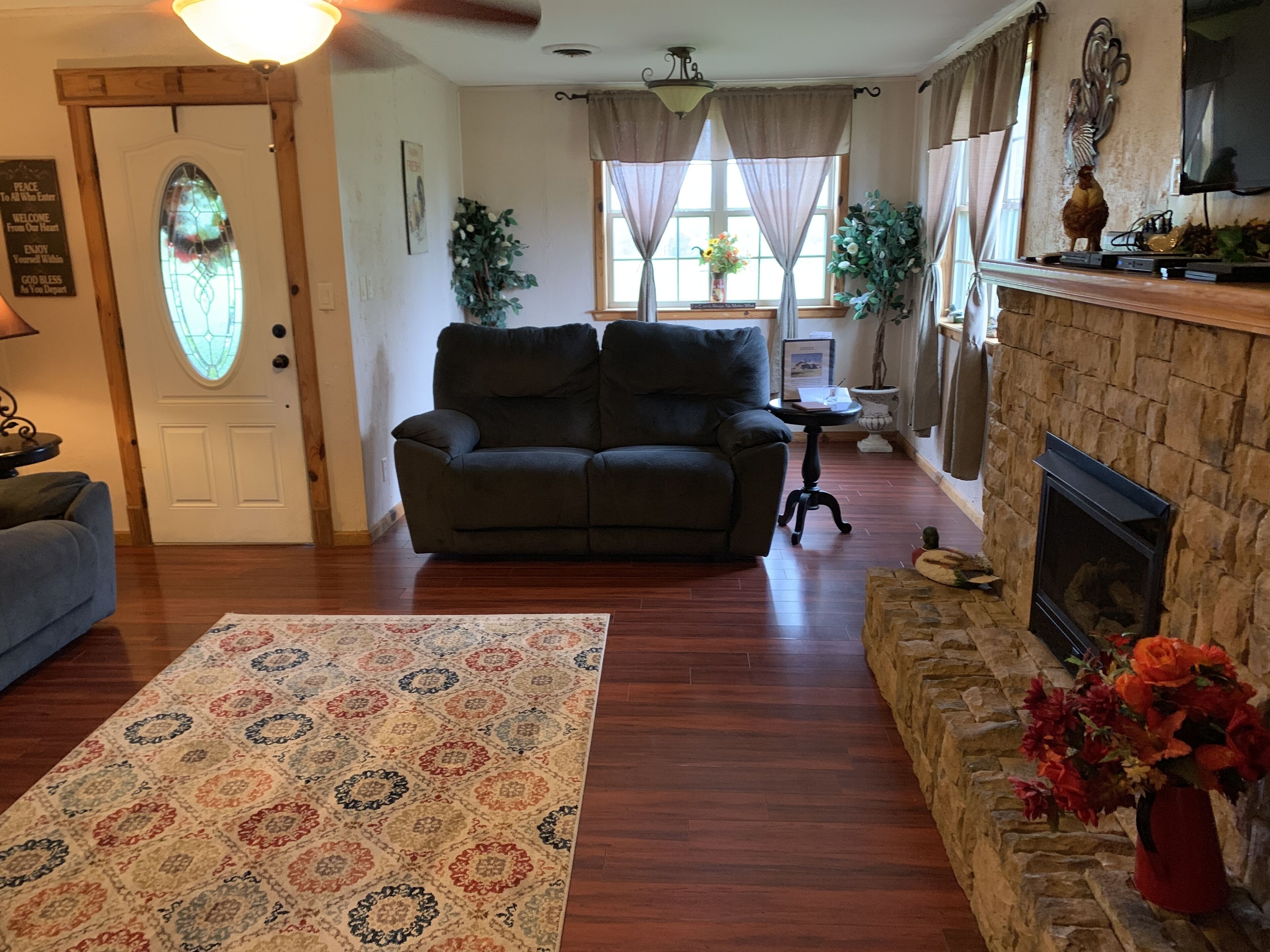 Télévision, cheminée, lecteur de DVD