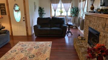 Télévision, cheminée, lecteur de DVD