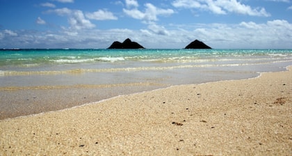 Weniger als 2 Minuten zu Fuß zum Kailua Beach, Pool, Fahrräder, Grill, A / C, NUC # 90 / BB -0013