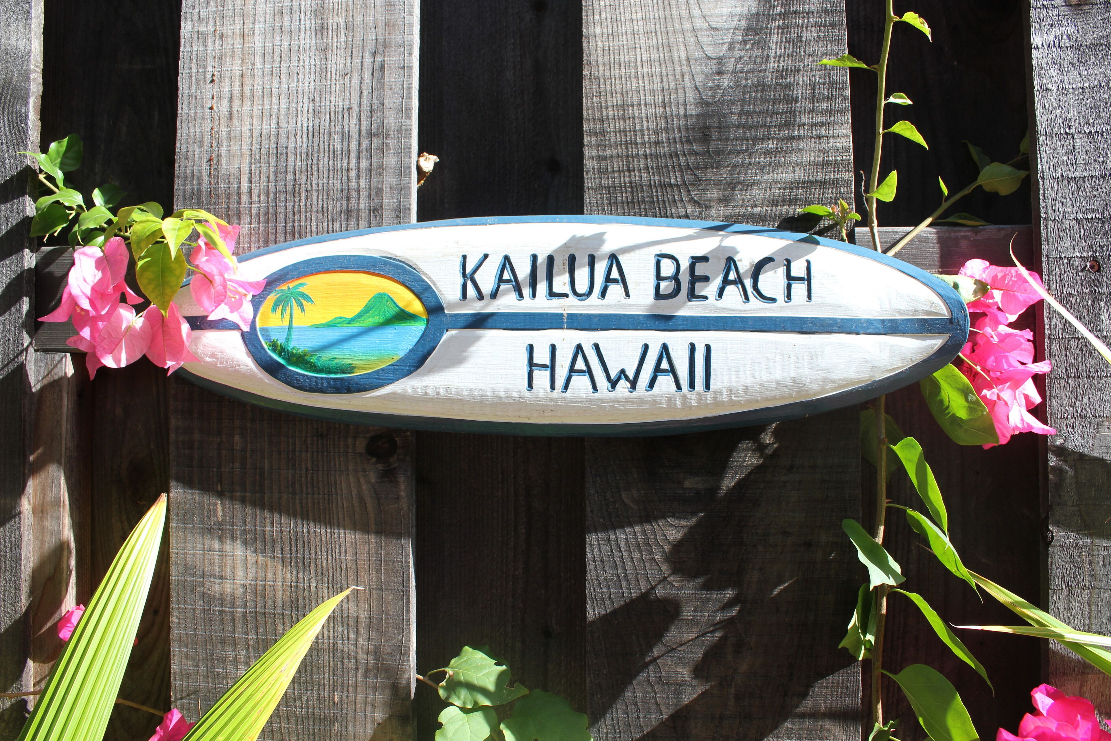 A wooden sign with the text "KAILUA BEACH HAWAII" and a colorful beach scene.
