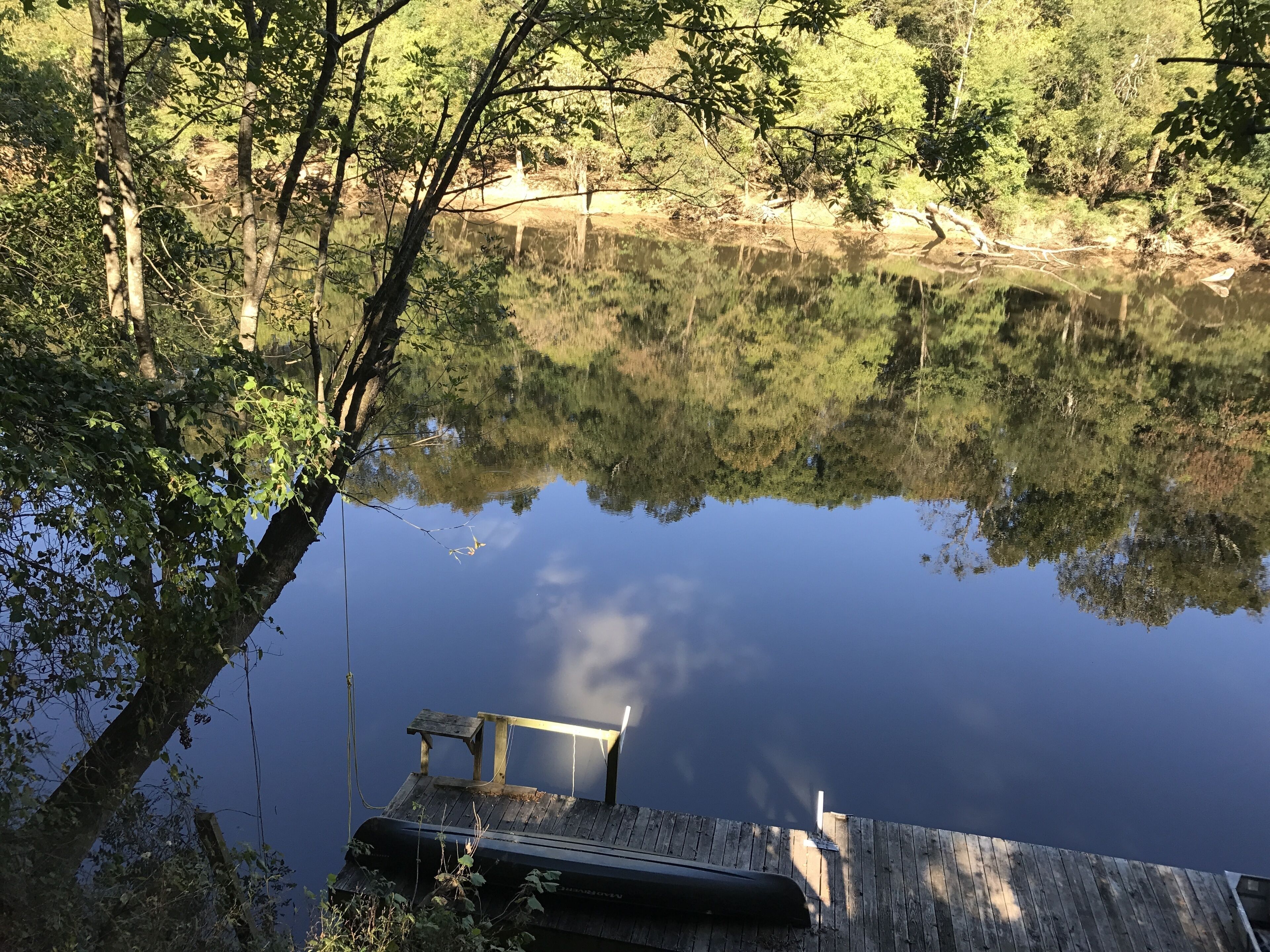 Un molo di legno che si protende su un lago calmo, circondato da alberi fitti.
