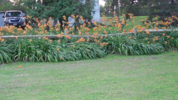 Àrea exterior de l'allotjament