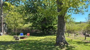 A grassy outdoor area with a large tree, a wooden bench, and a small shed. - Summer family cabin on Lake Ontario, Pulaski
NEWLY UPDATED!! (Pulaski)