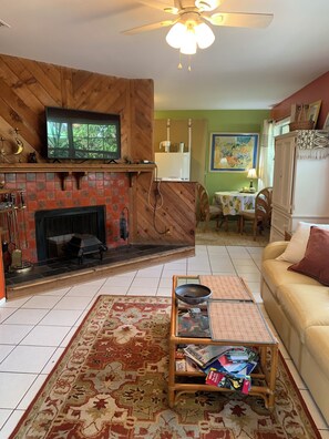 Smart-TV, Kamin
