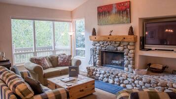 Télévision, cheminée, chaßne hi-fi