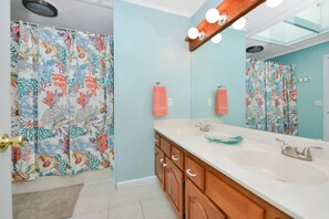 Combined shower/tub, hair dryer
