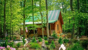 A log cabin with a green roof surrounded by a lush garden with various flowers and plants. - Creekside Serenade: Todd Cabin w/Hot Tub, Creekfront, 2 Kings & Fenced Yard (Todd)