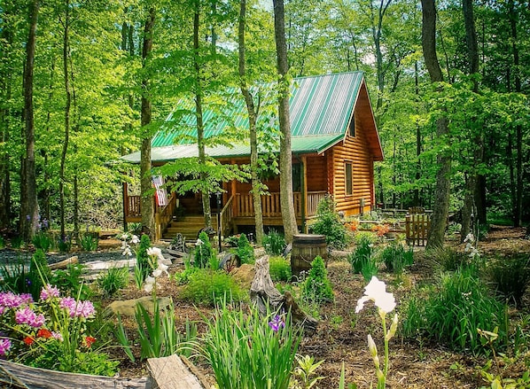 Une cabane en rondins surmontée d’un toit végétalisé, entourée d’un jardin luxuriant où poussent différentes fleurs et plantes.