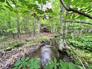 Une cabane dans une forêt, avec un ruisseau qui la borde.