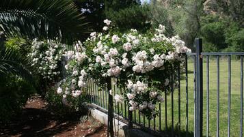 Área da propriedade