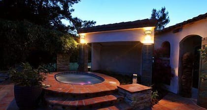 Three bedroom/three bath resort style home with saltwater pool and spa