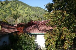 Exterior - Three bedroom/three bath resort style home with saltwater pool and spa  (Three Rivers)