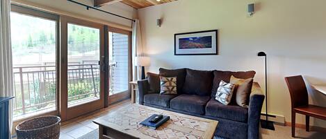 TV, DVD player, ping pong, books