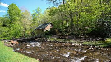 Une cabane située au bord d’un ruisseau, entourée d’une forêt dense.